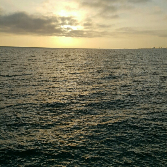 🐞Meet your Posher, Rosa🌹 - Picture 4 of 6